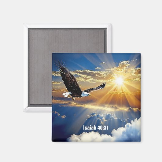 磁石 (正面/裏面)