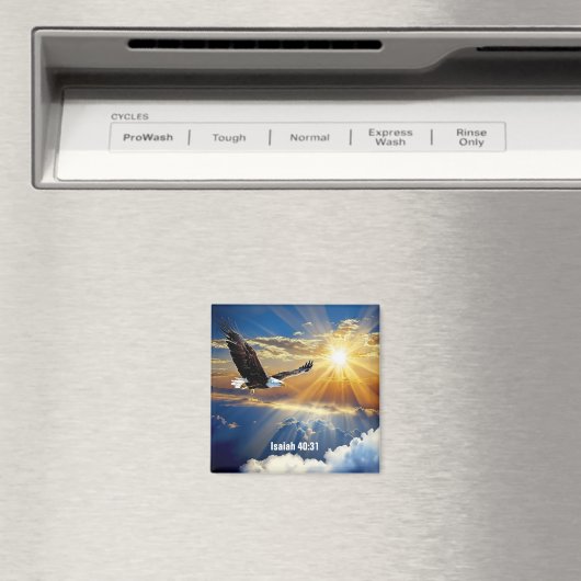 磁石 (インサイチュ (食洗機))