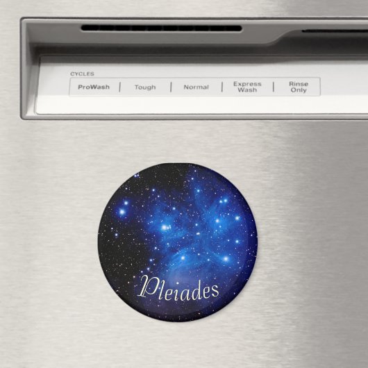 磁石 (インサイチュ (食洗機))