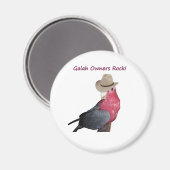 磁石 (正面/裏面)