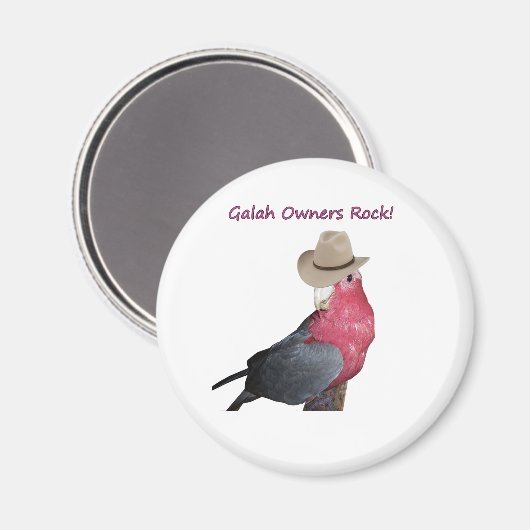 磁石 (正面/裏面)