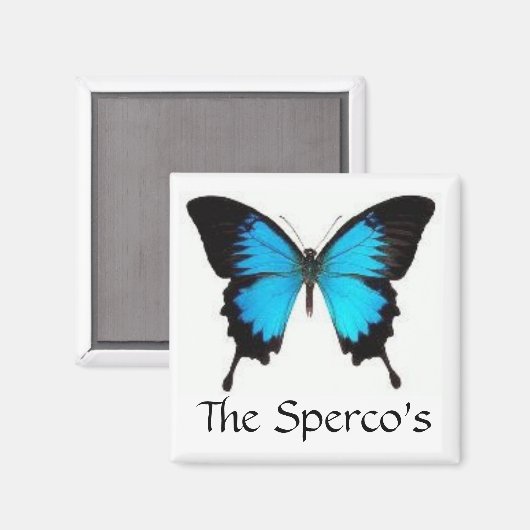 磁石 (正面/裏面)