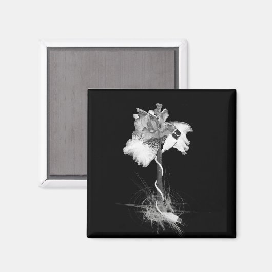 磁石 (正面/裏面)