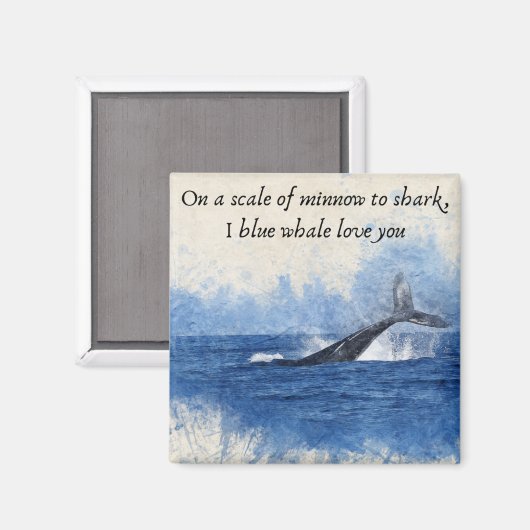 磁石 (正面/裏面)