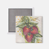 磁石 (正面/裏面)