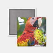 磁石 (正面/裏面)