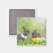 磁石 (正面/裏面)