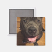 磁石 (正面/裏面)