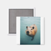 磁石 (正面/裏面)