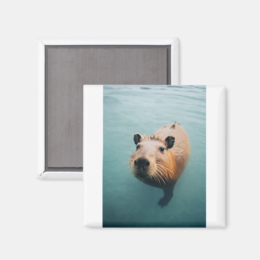 磁石 (正面/裏面)