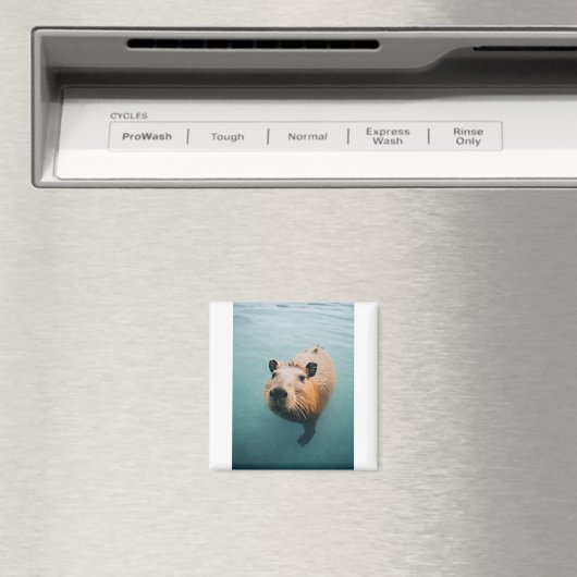 磁石 (インサイチュ (食洗機))