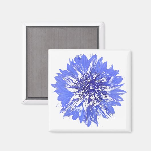 磁石 (正面/裏面)