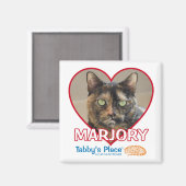 磁石 (正面/裏面)