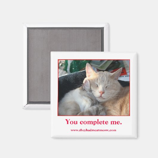 磁石 (正面/裏面)