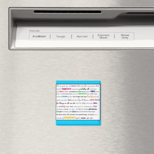 磁石 (インサイチュ (食洗機))