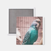 磁石 (正面/裏面)