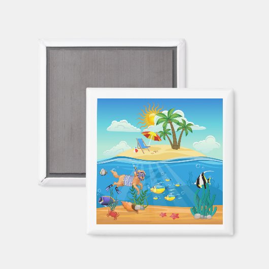 磁石 (正面/裏面)