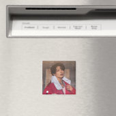 磁石 (インサイチュ (食洗機))