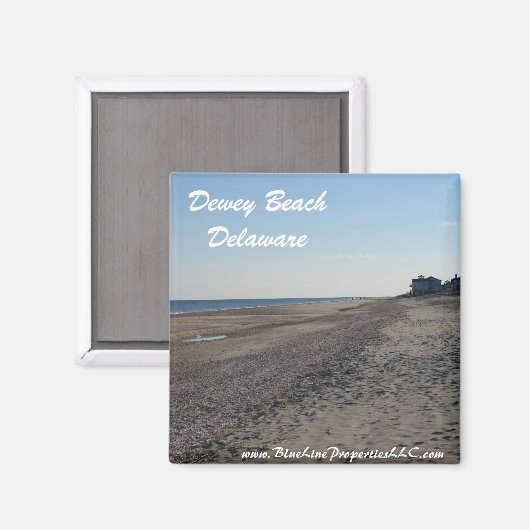 磁石 (正面/裏面)