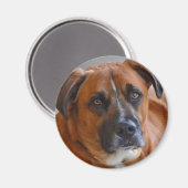 磁石-バクスター マグネット (正面/裏面)