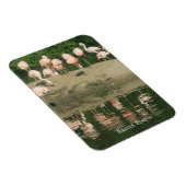 磁石 – ブロンクス動物園のフラミンゴ (右側)