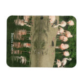 磁石 – ブロンクス動物園のフラミンゴ (横)