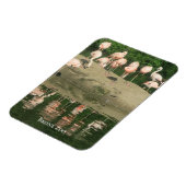 磁石 – ブロンクス動物園のフラミンゴ (左側)