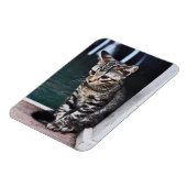 磁石：子猫 マグネット (左側)