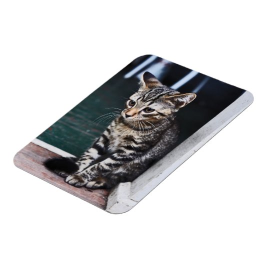 磁石:子猫 マグネット (左側)