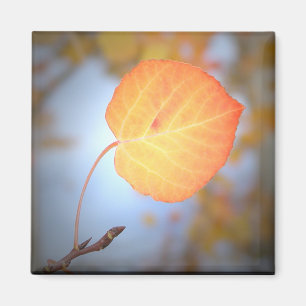 磁石《植物》アスペン葉 マグネット
