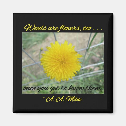 磁石 – 雑草は花 (正面)