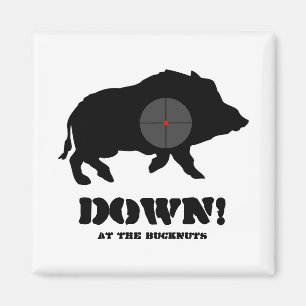 磁石-黒いブタ! 、Bucknutsで マグネット
