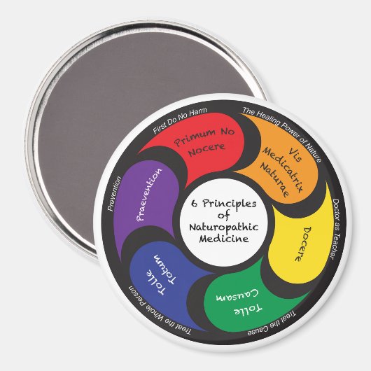 磁石 – 6自然療法の原則 (正面/裏面)