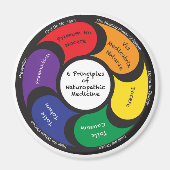 磁石 – 6自然療法の原則 (正面)