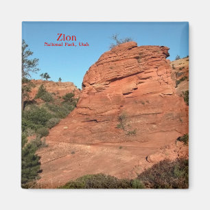 磁石: Zionの赤い石 マグネット