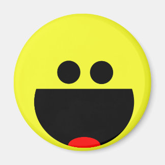 磁素晴らし石 マグネット