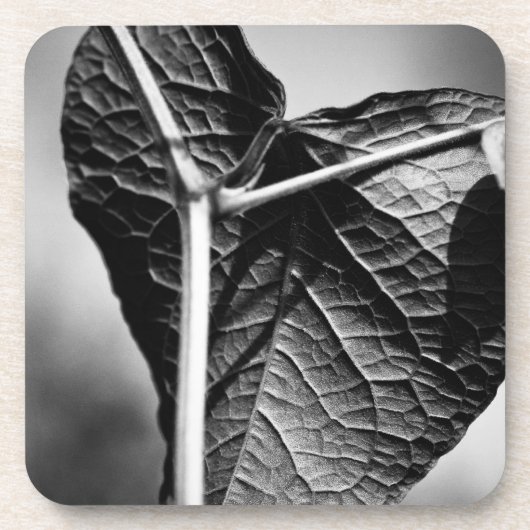 磔ハート コースター (正面)