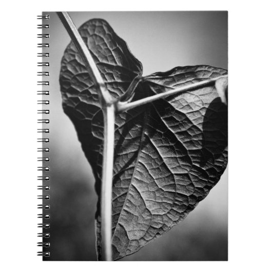 磔ハート ノートブック (正面)