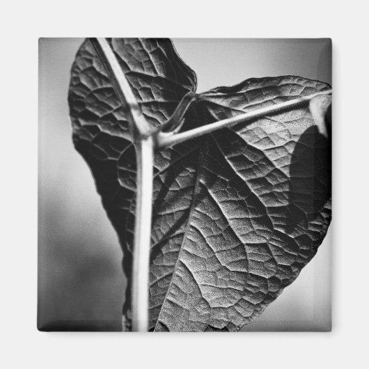 磔ハート マグネット (正面)