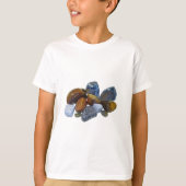 磨いた岩 Tシャツ (正面)