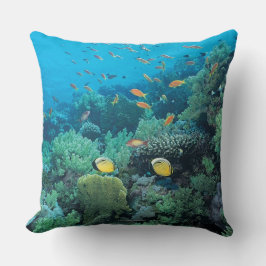 礁に泳いでいる熱帯魚 クッション