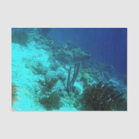 礁の端 薄葉紙 (正面)