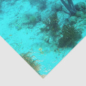 礁の端 薄葉紙 (詳細)