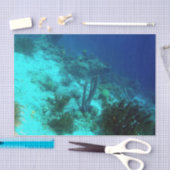 礁の端 薄葉紙 (クラフト)