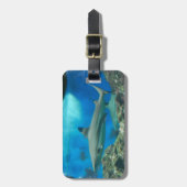 礁の荷物のラベルを持つ鮫 ラゲッジタグ (正面縦)