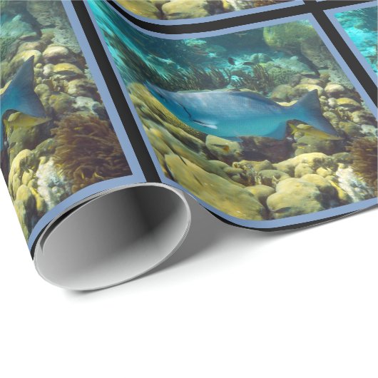 礁の魚 ラッピングペーパー (ロールコーナー)