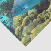 礁の魚 薄葉紙 (詳細)