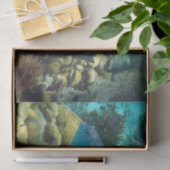 礁の魚 薄葉紙 (ギフト)