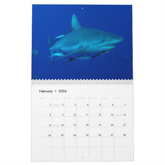 礁の鮫のグレート・バリア・リーフの珊瑚海 カレンダー (2月 2026)