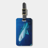 礁の鮫の荷物のラベル ラゲッジタグ (正面縦)